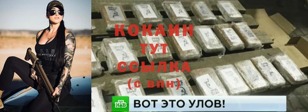 стафф Алексин