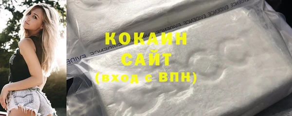 гашик Новозыбков