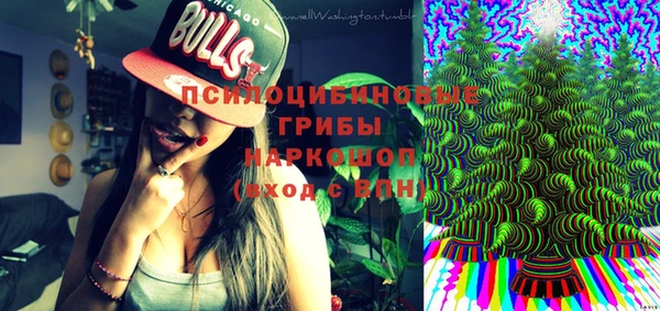 шишки Нефтекумск